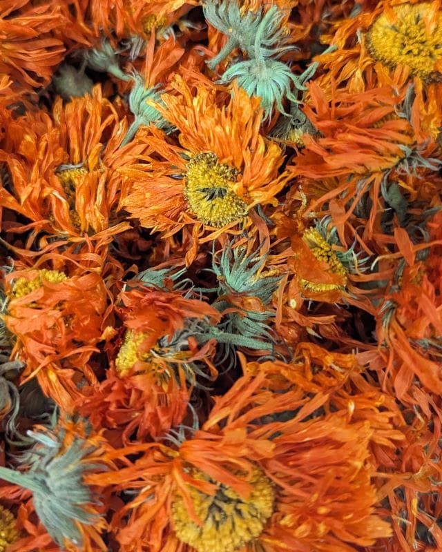 calendula-cha