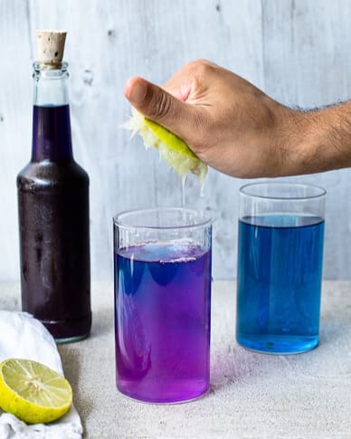 clitoria-cha-fada-azul