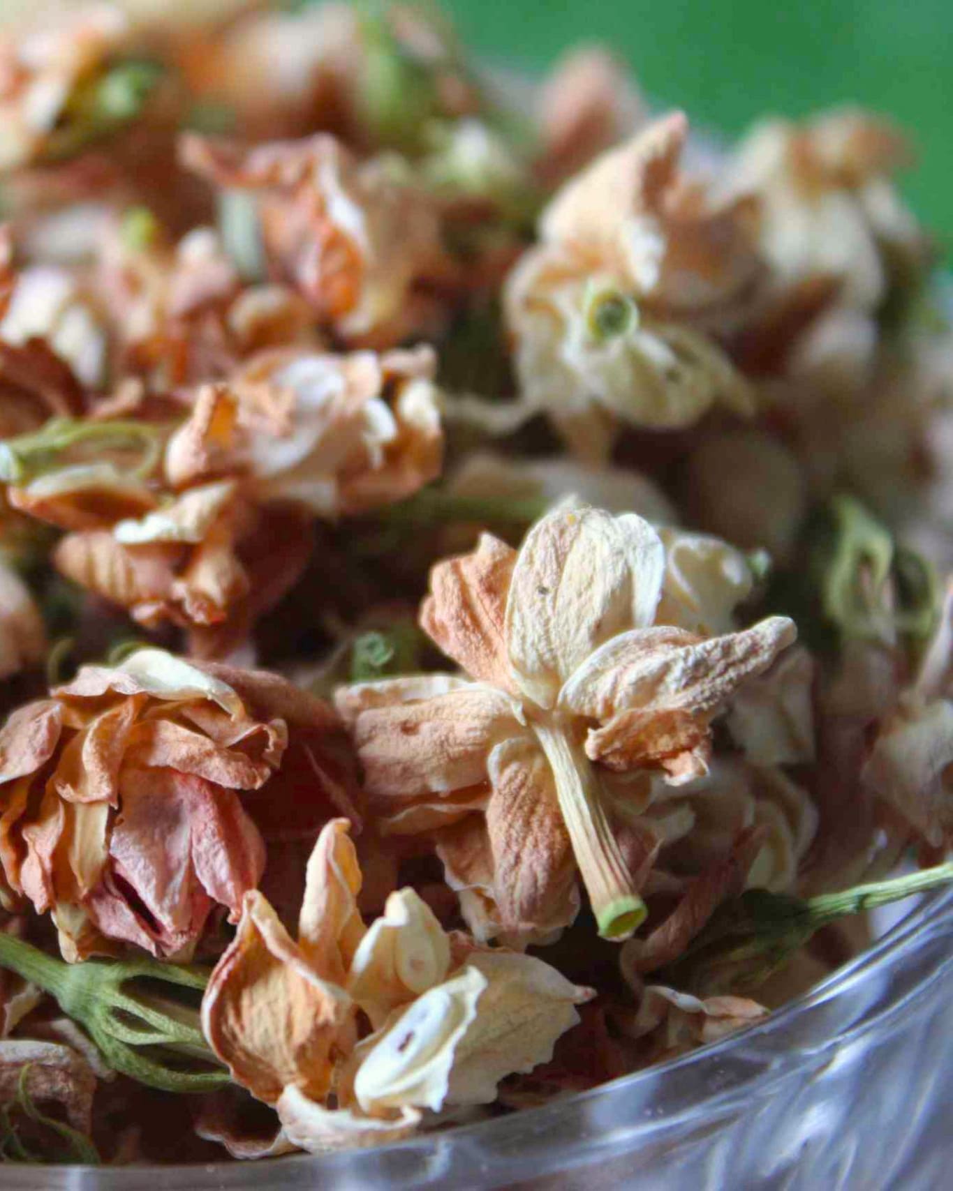 jasmim-cha