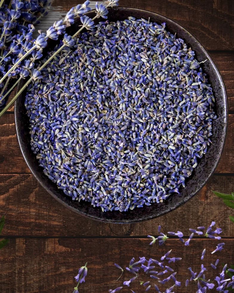 lavanda-azul-alfazema-blue
