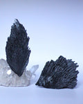vassoura-de-bruxa-cianita-negra